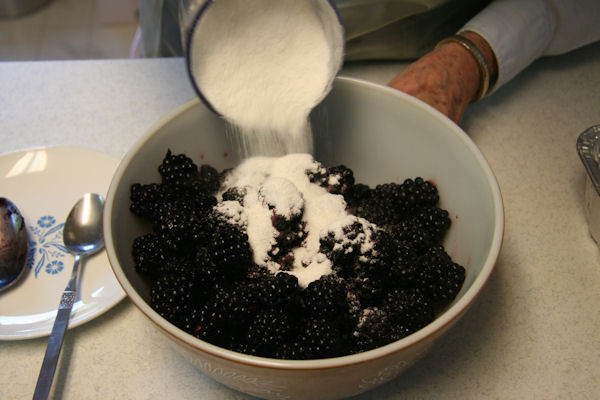Step 7 - Pour into Blackberry Bowl