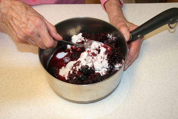 Step 7 - Stir Pan