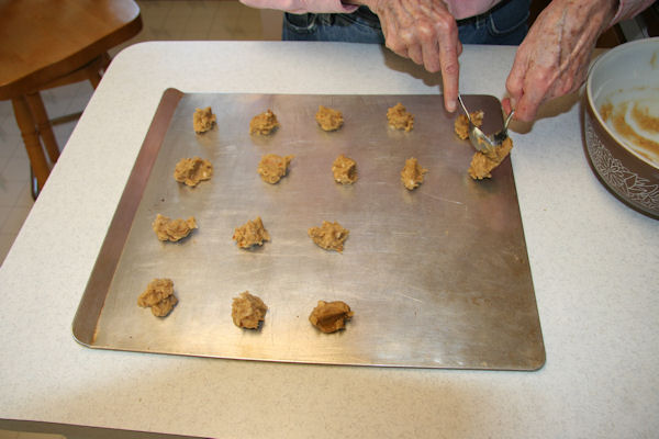 Step 20 -Spoonfuls on Sheet 