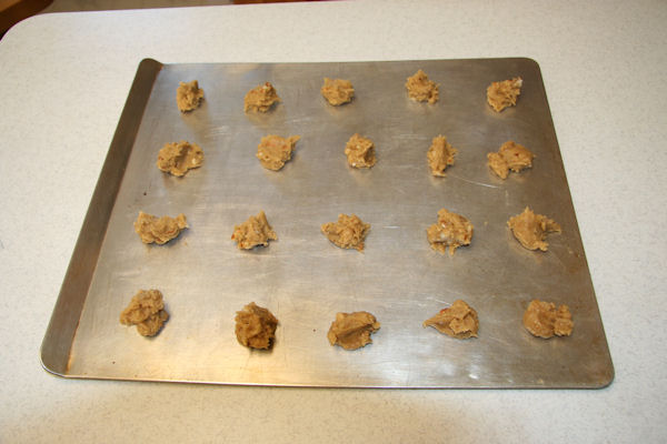 Step 21 - Cookie Sheet Loaded
