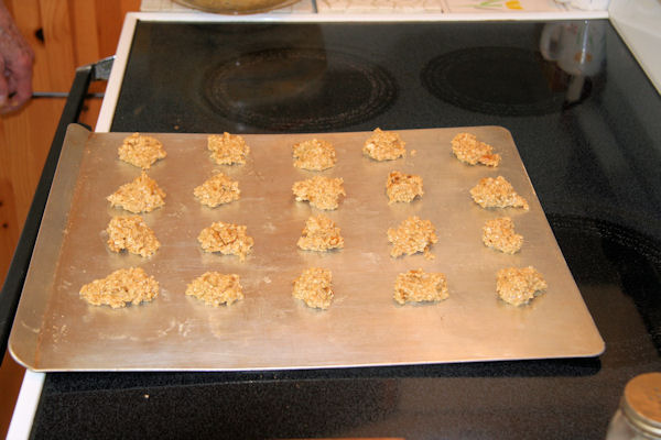 Step 20 - Second Batch on Cookie Sheet 