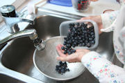 Blueberry Cheesecake Bars, Step 14