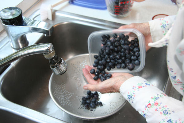 Step 14 - Check Blueberries