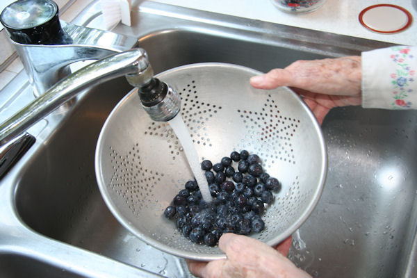 Step 15 - Wash Blueberries