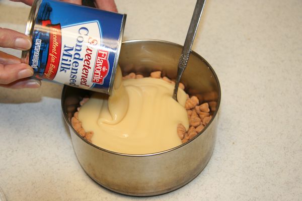 Step 15 - Add Can of Milk