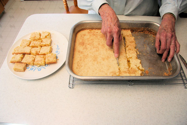 Step 20 - Cut into Squares
