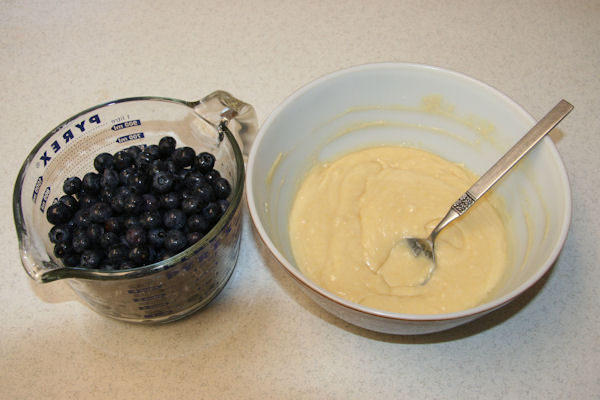 Step 16 - Measure Blueberries