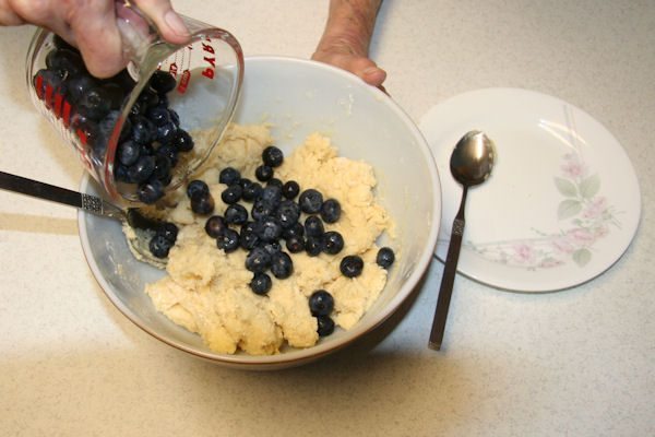 Step 16 - Add Blueberries