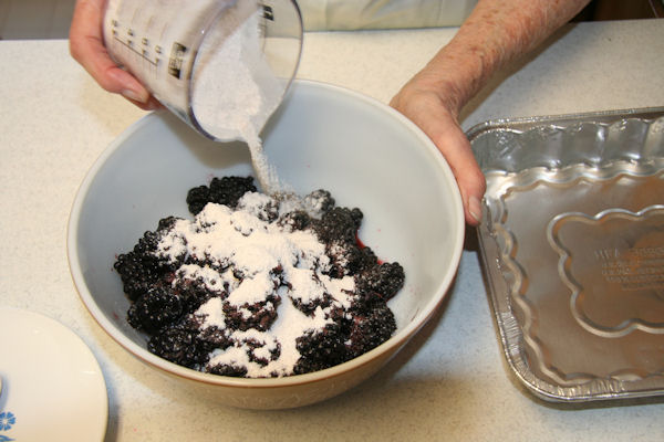 Step 9 - Dry Mix into Blackberries