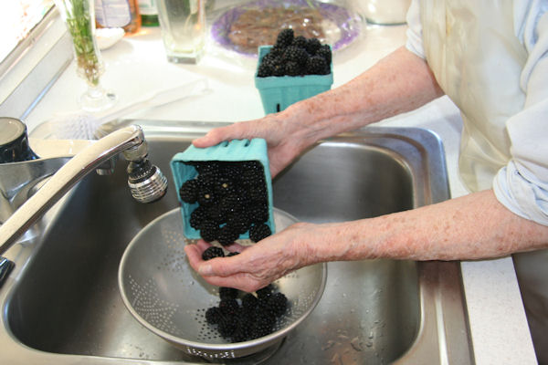 Step 1 - Check Blackberries