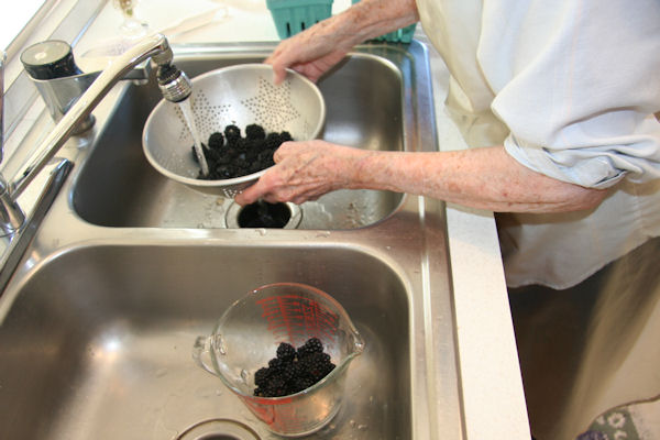 Step 2 - Wash Blackberries