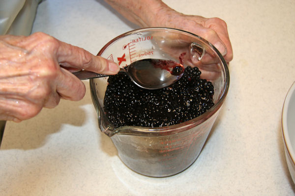Step 3 - Measure Blackberries