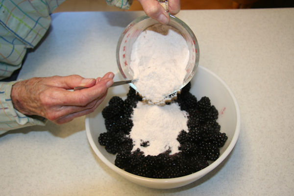Step 9 - Put Dry Ingredients into Berries