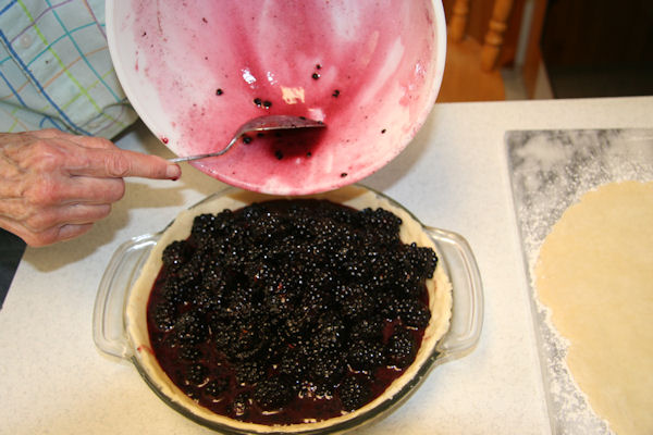 Step 21 - Pour in Berries
