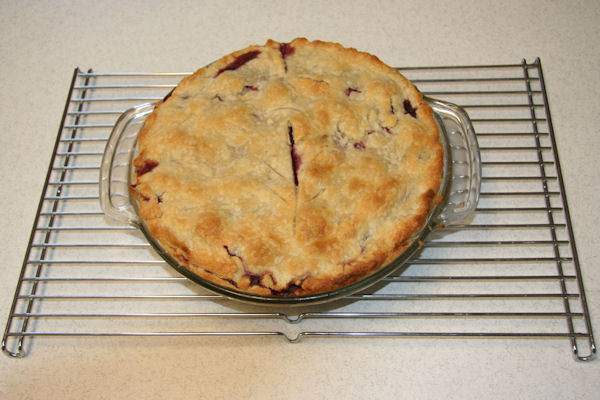Step 24 - Finished Pie
