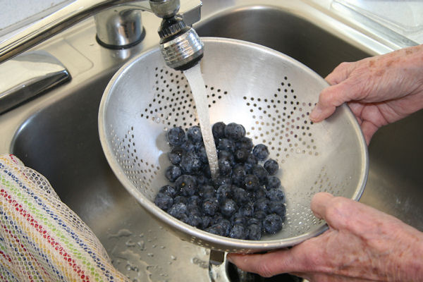 Step 1 - Wash Blueberries