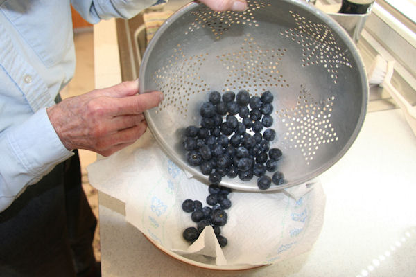 Step 2 - Dry Blueberries