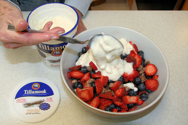 Step 10 - Add Yogurt