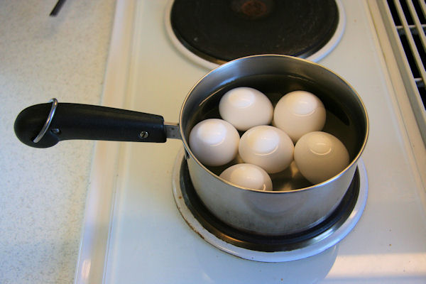 Step 2 - Put Eggs in Water