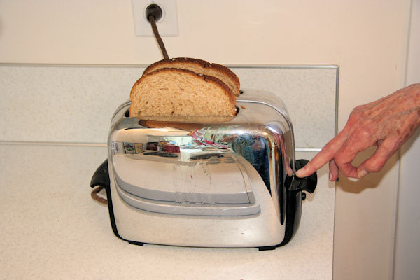Step 1 -Toast the Bread 
