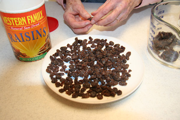 Step 22 - Separate Raisins 