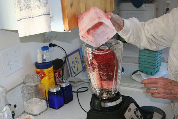 Step 3 - Berries Into the Blender
