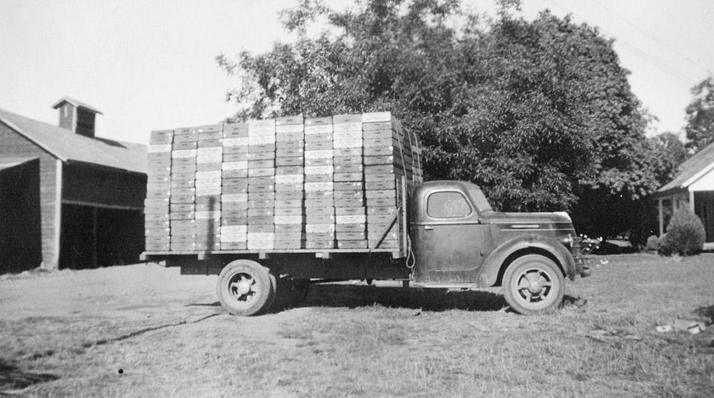 Truck Loaded for Market