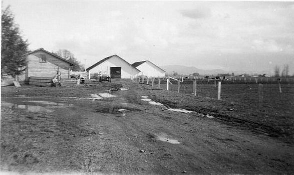 Royaldel Farms Cattle Barns