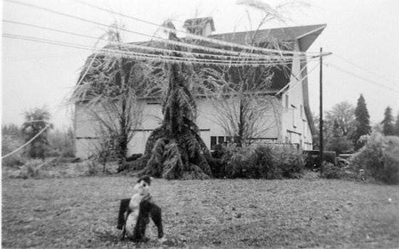 Ice Storm - Hay Barn