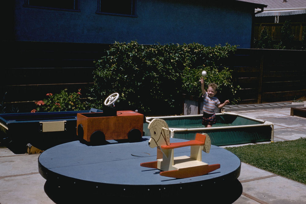 Landscaped Back Yard