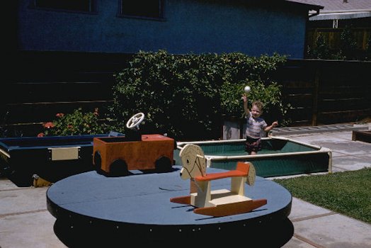 Landscaped Back Yard