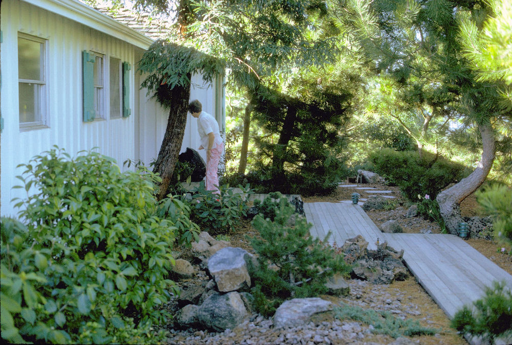 Landscaped Front