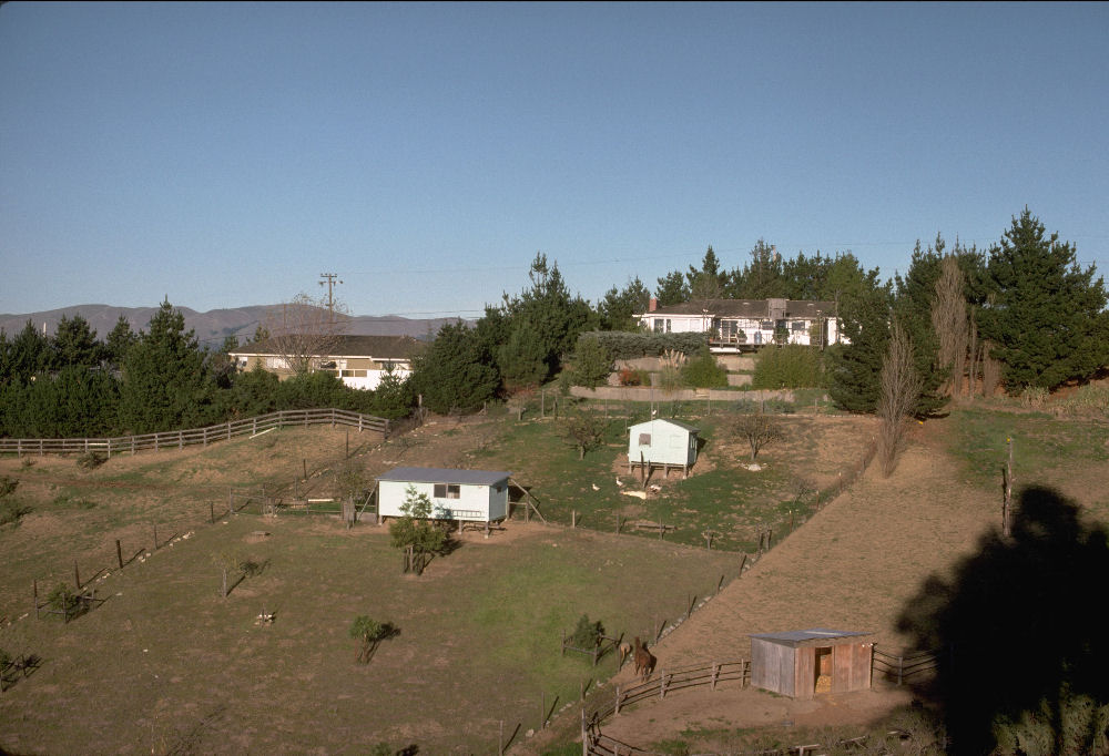 Sheep Barn