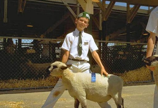 Landon's Blue Ribbon Lamb