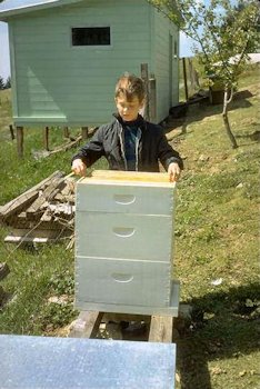Landon Works with the Bee Hives