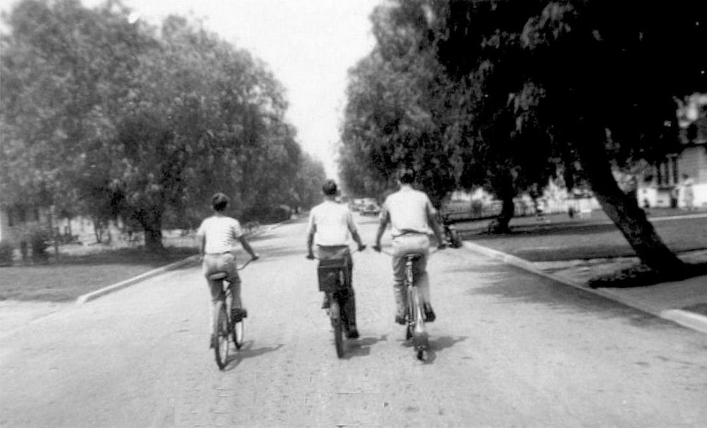 Noll Boys on Their Bikes 