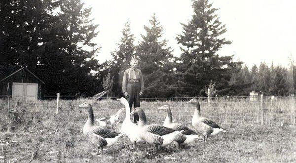 James A. Noll and his Geese - 21 