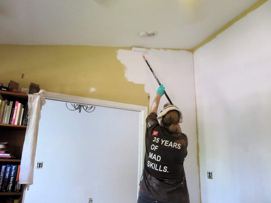 Roller Painting the Office   