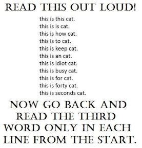 Reading Test for Idiots   