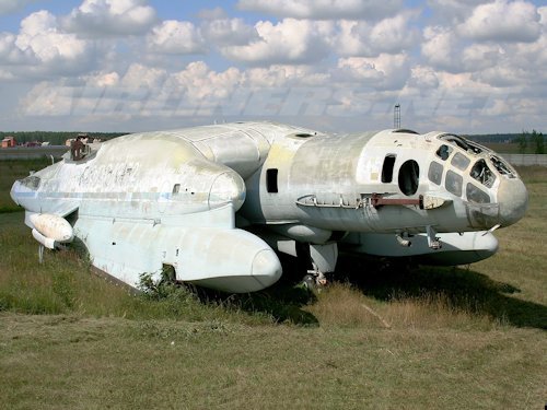 Bartini Beriev VVA-14  - Aircraft 15