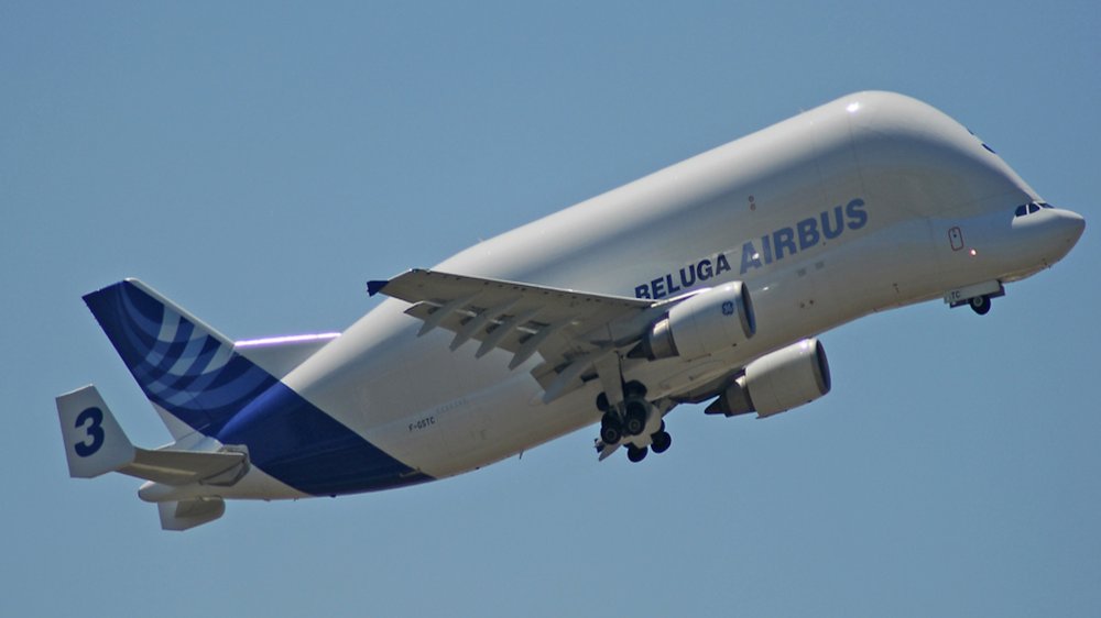 Airbus A300-600ST (Super Transporter) or Beluga  