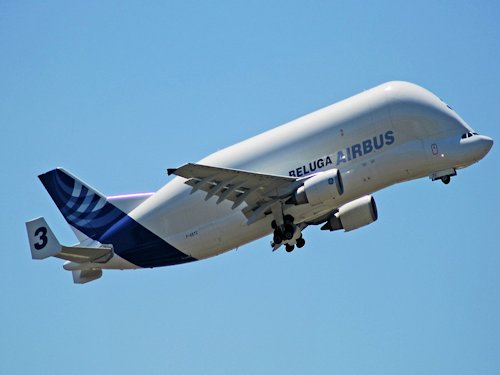 Airbus A300-600ST (Super Transporter) or Beluga - Aircraft 28