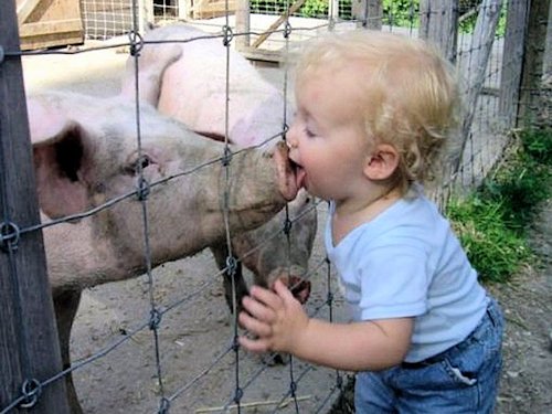 Kissing a Pig - Scene 4