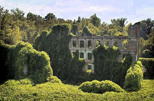 Kudzu Covered Hills - Scene 21