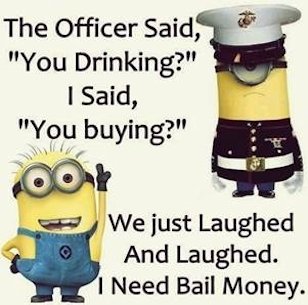 Minion Funnies Photo 7