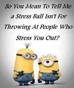 Minion Funnies Photo 9