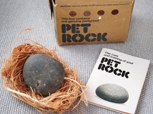 Pet Rock - Photo 130