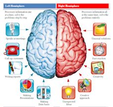 Left/Right Brain Hemispheres