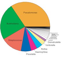 Sputum Color Chart