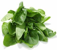 Spinach is Full of Iron 